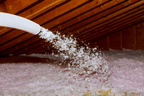 Best Insulation Maintenance and Repair in Chevy Chase Village, MD