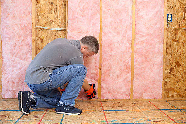 Types of Insulation We Offer in Chevy Chase Village, MD